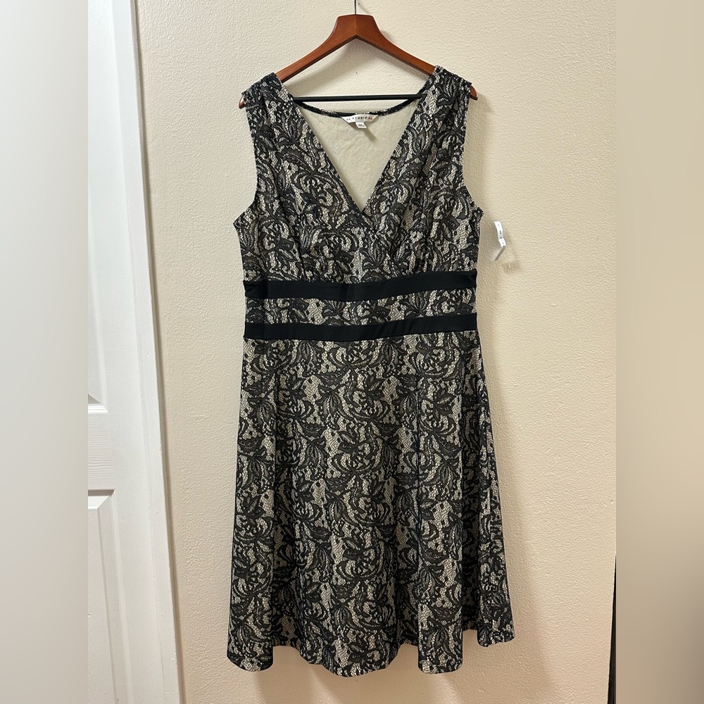 AA Studio AA Women's 18W Dress Black Chantilly Lace Ivory A-Line Sleeveless NWT